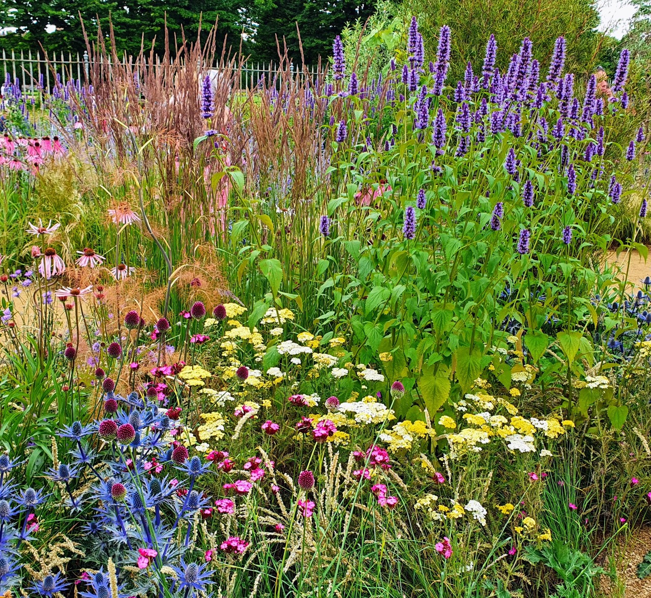 garden bed of flowers